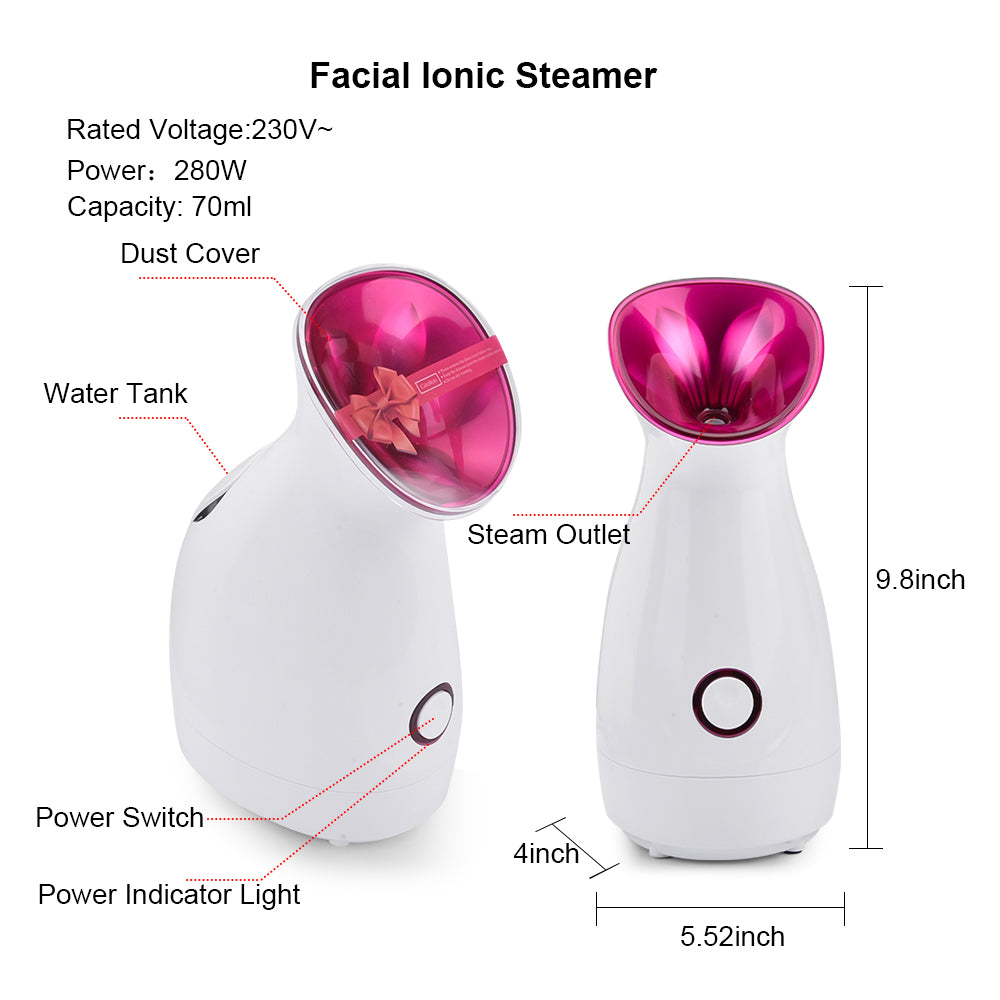 Hot Nano Mister Sprayer Facial Steamer Face Moisturizer Winter